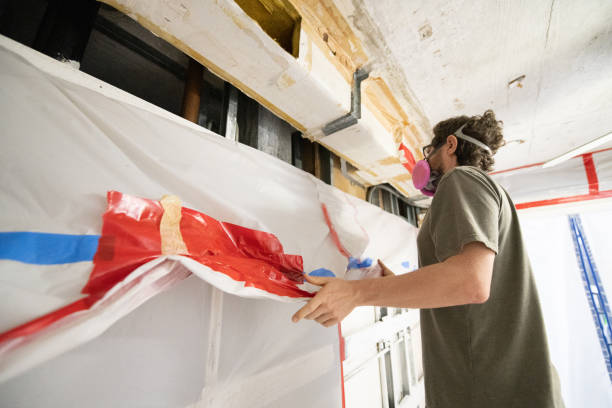 Professional Mold Removal in Kennesaw, GA