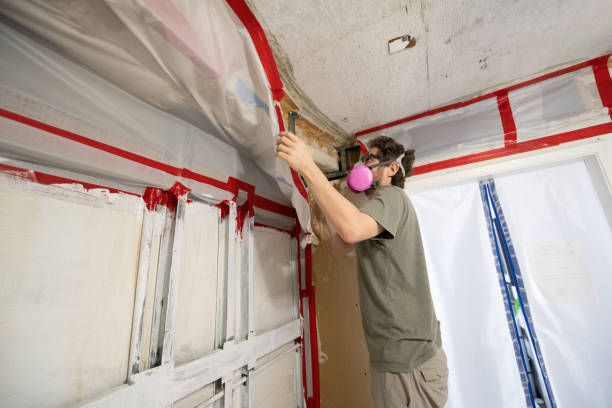 Best Commercial Mold Inspection  in Kennesaw, GA