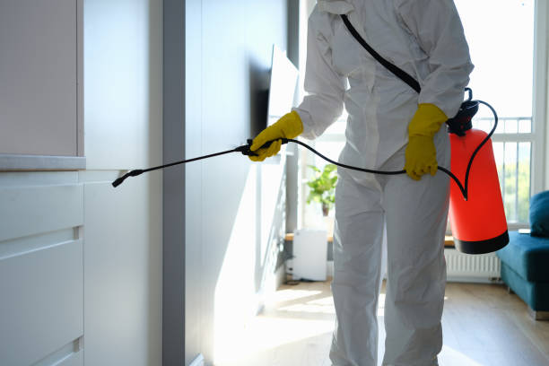 Best Mold Removal for HVAC Installations  in Kennesaw, GA