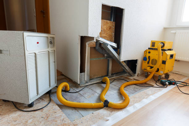 Best Comprehensive Air Testing for Mold Contaminants  in Kennesaw, GA