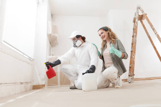 Best Mold Odor Removal Services  in Kennesaw, GA
