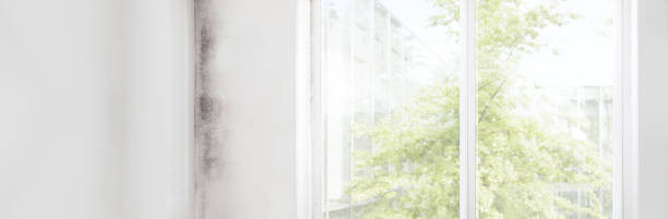 Best Indoor Air Quality Assessment  in Kennesaw, GA